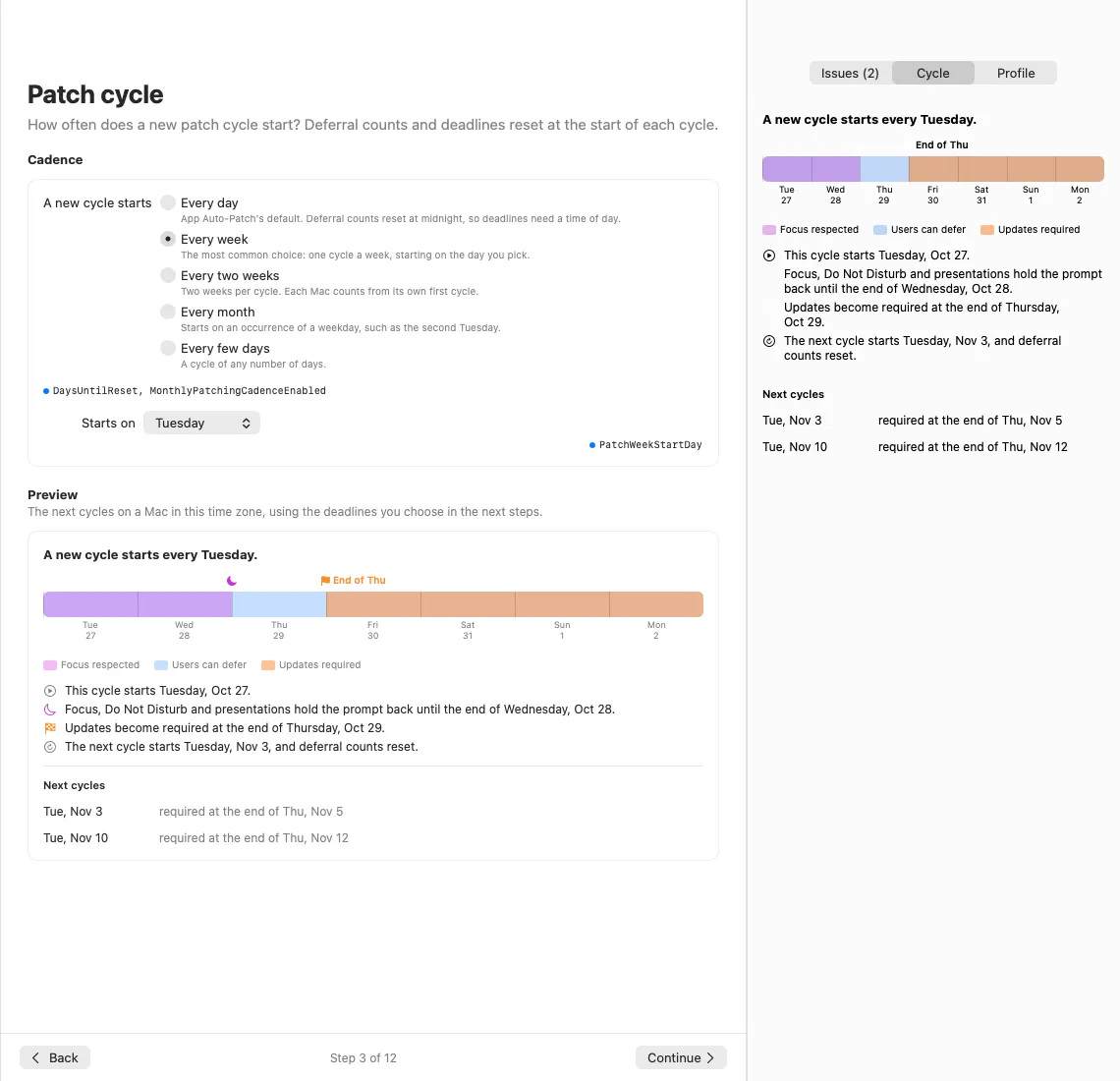 The patch cycle step of the guided setup, with a preview of the next cycles and their deadlines
